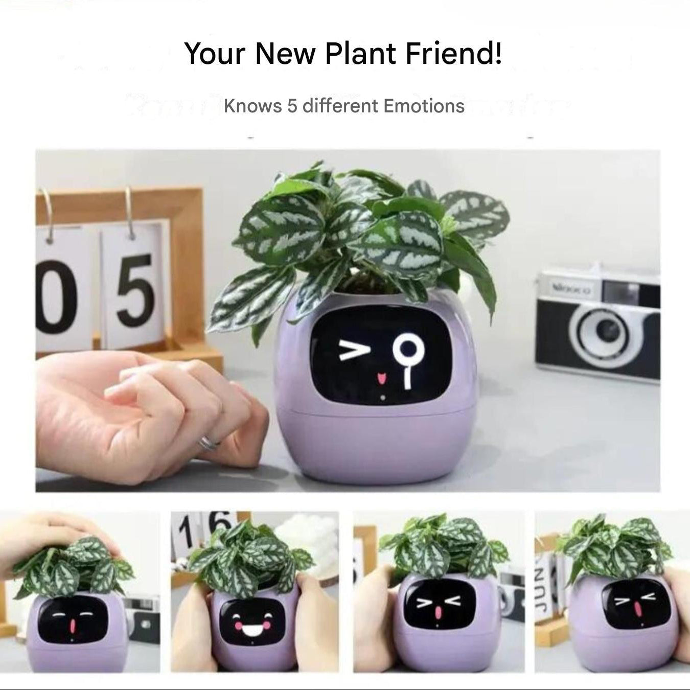 Self-Watering Flower Pot with App Notifications and Emoji Alerts