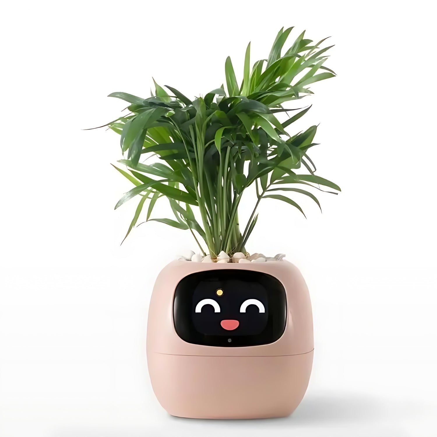 Self-Watering Flower Pot with App Notifications and Emoji Alerts