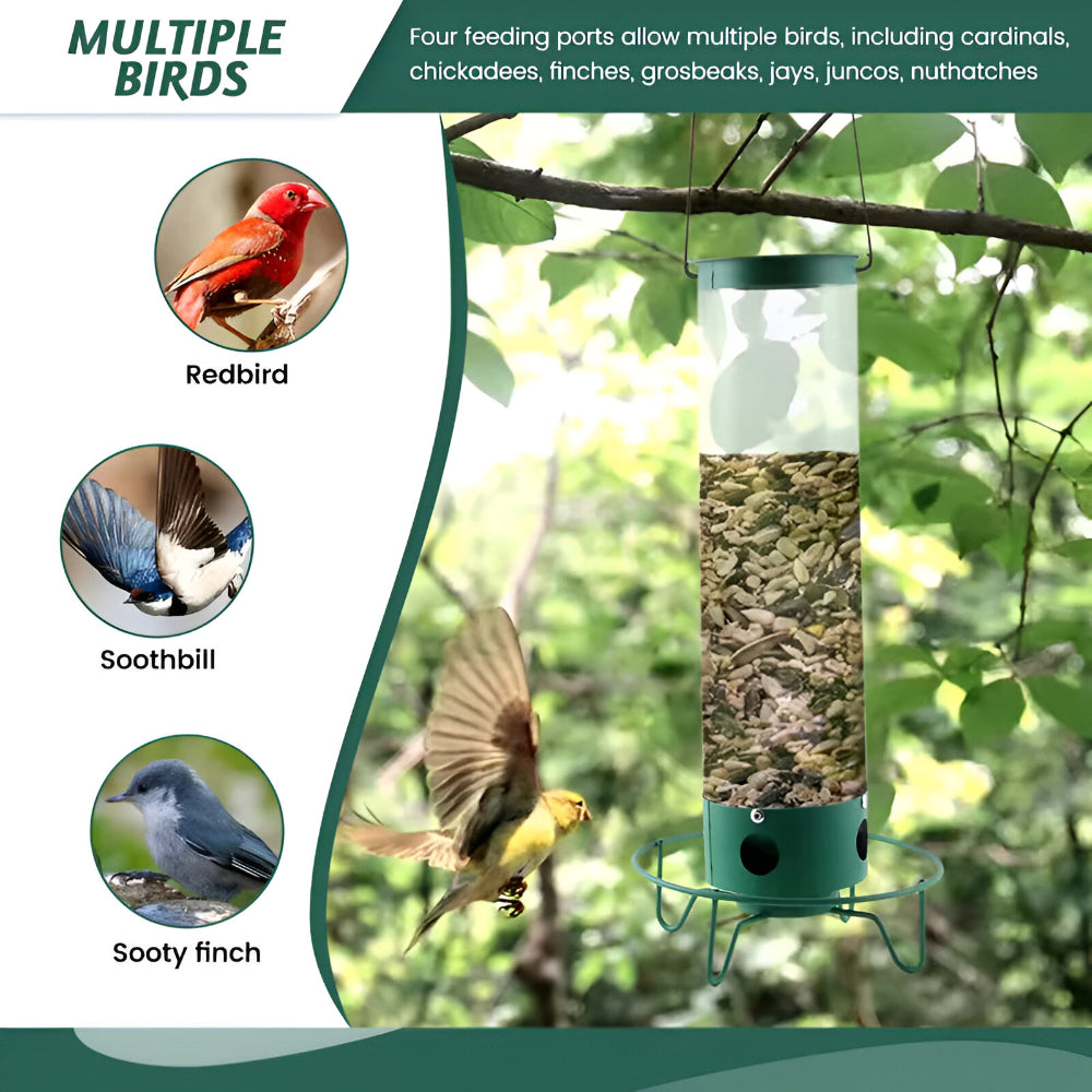 Durable Squirrel-Guard Tube Bird Feeder for Your Garden