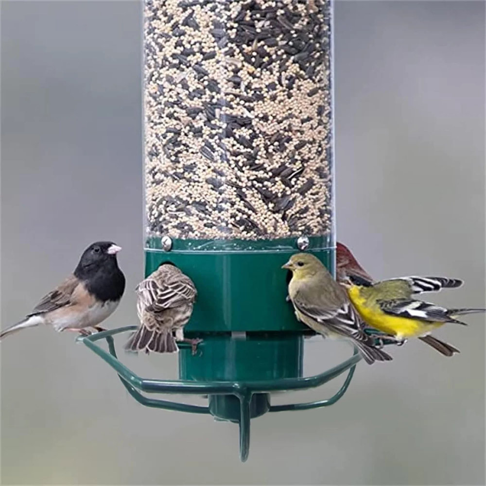Durable Squirrel-Guard Tube Bird Feeder for Your Garden