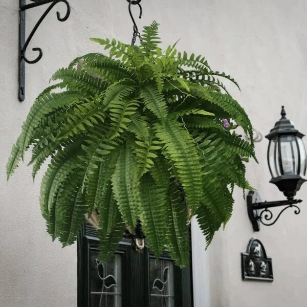 Artificial Boston Fern | UV-Resistant Cascading Foliage | Adjustable Stems & Lifelike Leaves