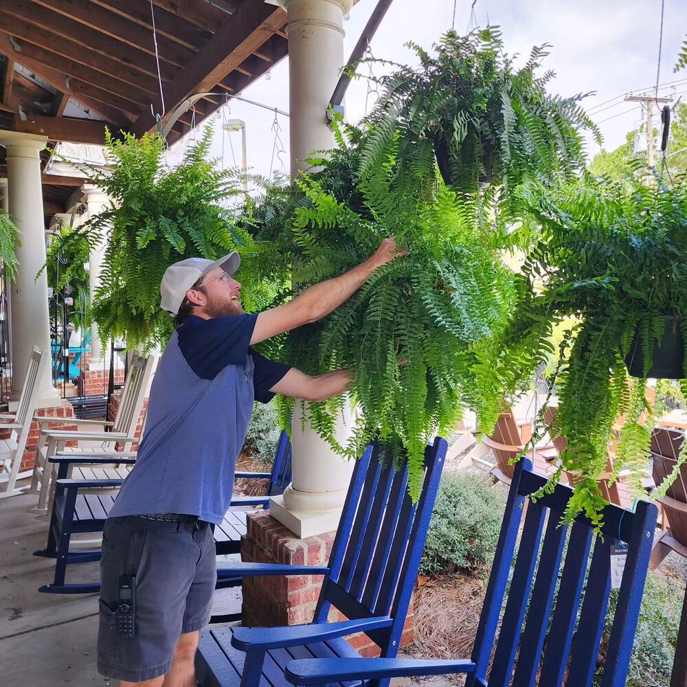 Artificial Boston Fern | UV-Resistant Lifelike | Waterproof, Maintenance-Free | Set of 18