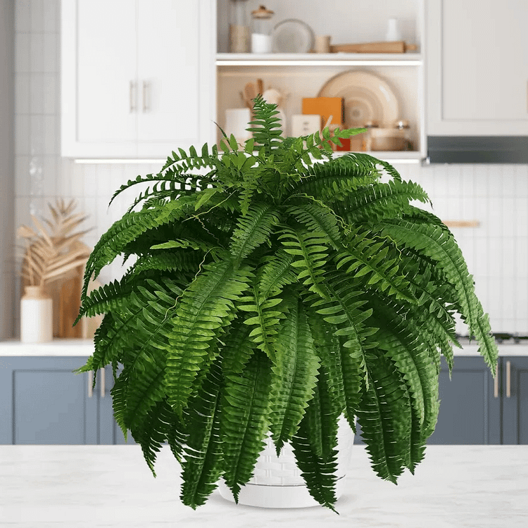 Artificial Boston Fern | UV-Resistant Lifelike | Waterproof, Maintenance-Free | Set of 18