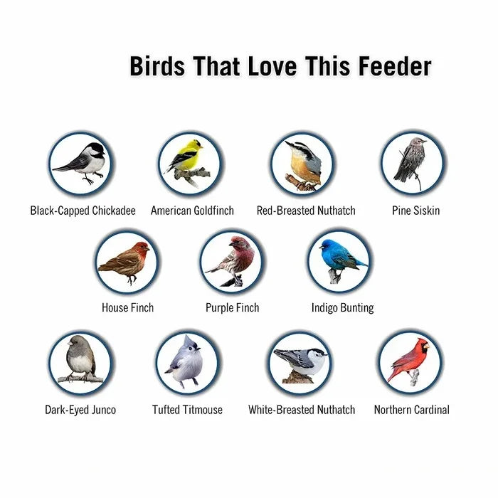 Bird Feeder | Squirrel-Proof Spinning Perch | 5 lb Capacity