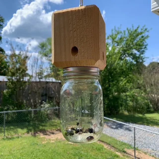 Carpenter Bee Trap | Easy-Install Non-Chemical Hanging Trap | 25 cm Depth | Wood Protection