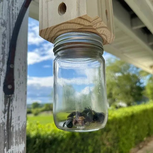 Carpenter Bee Trap | Easy-Install Non-Chemical Hanging Trap | 25 cm Depth | Wood Protection