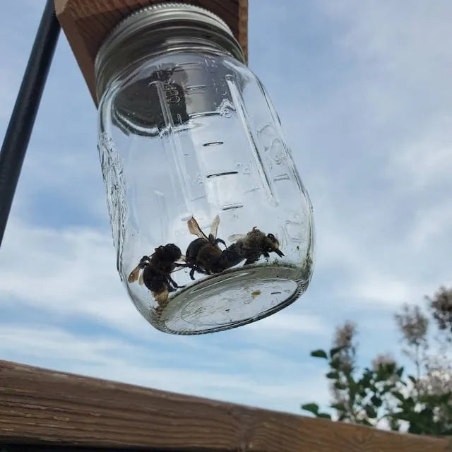 Carpenter Bee Trap | Easy-Install Non-Chemical Hanging Trap | 25 cm Depth | Wood Protection