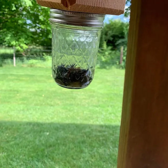 Carpenter Bee Trap | Easy-Install Non-Chemical Hanging Trap | 25 cm Depth | Wood Protection