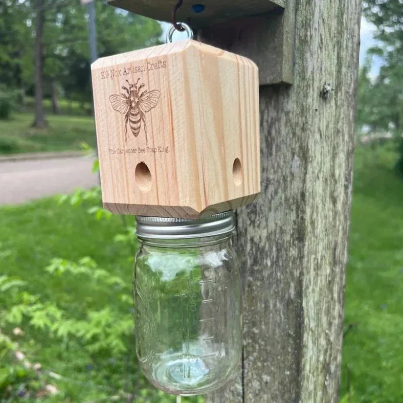 Carpenter Bee Trap | Easy-Install Non-Chemical Hanging Trap | 25 cm Depth | Wood Protection