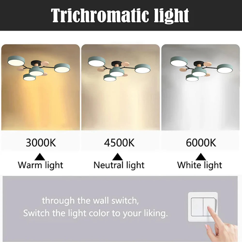 Ceiling Light | Dimmable & Color-Changing | Multi-Point 4-7 Lights | Modern Living Room