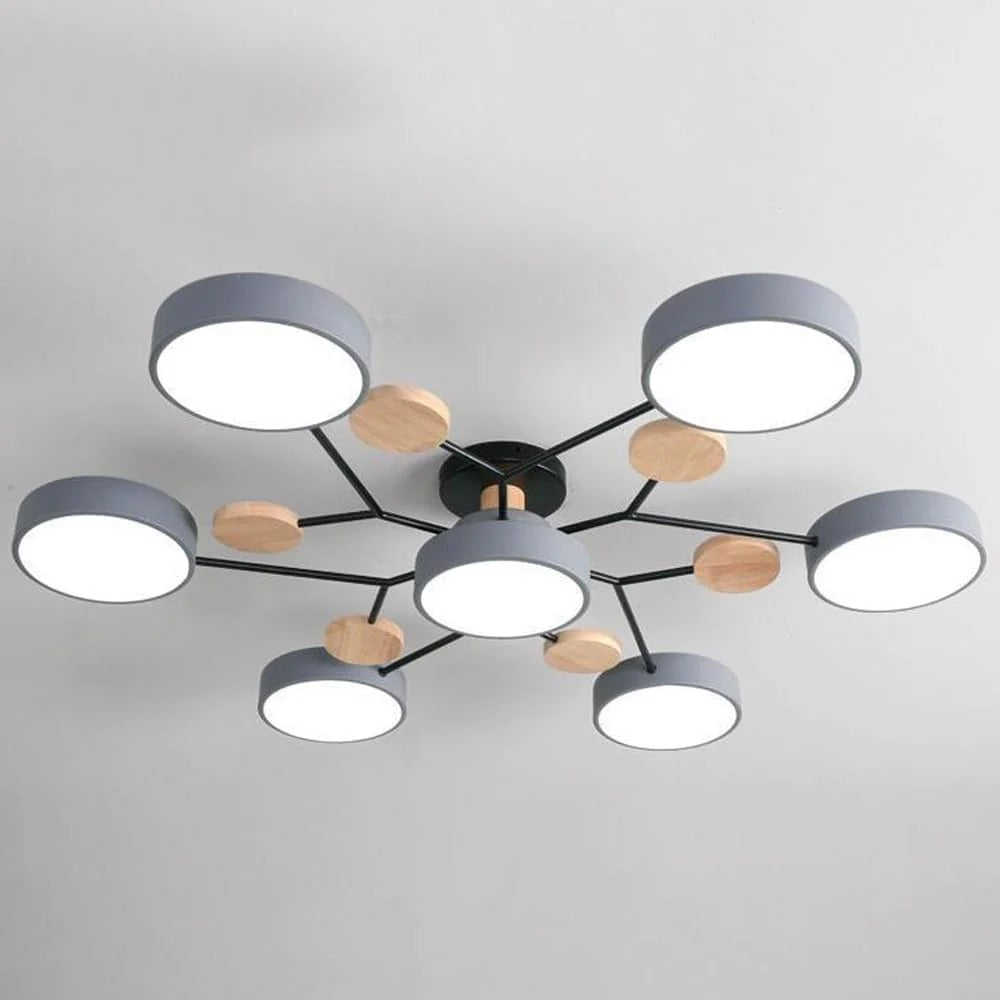 Ceiling Light | Dimmable & Color-Changing | Multi-Point 4-7 Lights | Modern Living Room