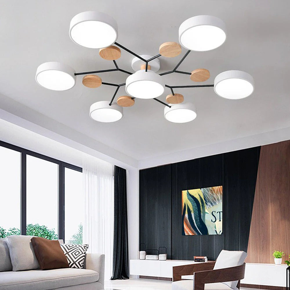Ceiling Light | Dimmable & Color-Changing | Multi-Point 4-7 Lights | Modern Living Room