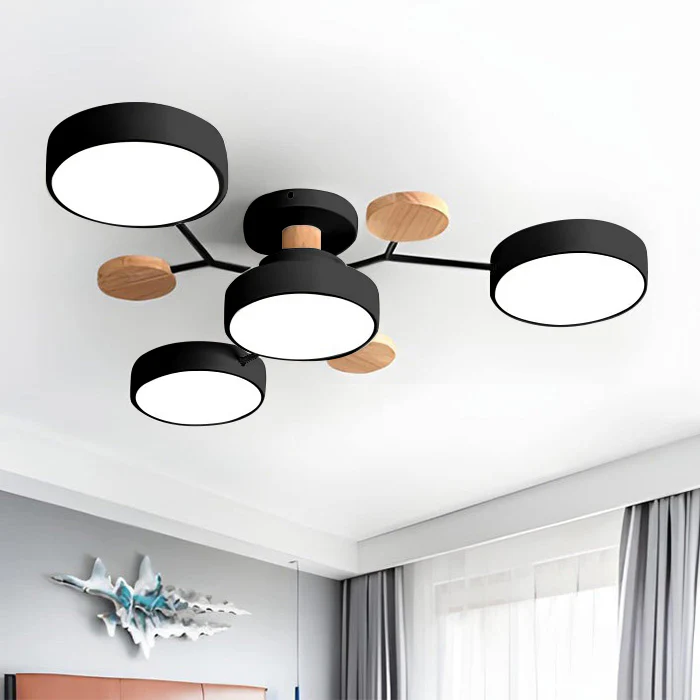 Ceiling Light | Dimmable & Color-Changing | Multi-Point 4-7 Lights | Modern Living Room