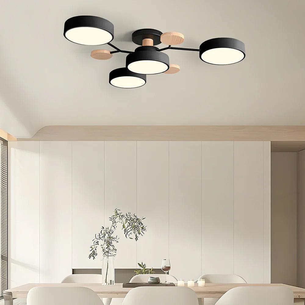 Ceiling Light | Dimmable & Color-Changing | Multi-Point 4-7 Lights | Modern Living Room