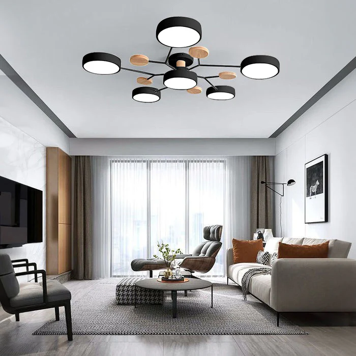 Ceiling Light | Dimmable & Color-Changing | Multi-Point 4-7 Lights | Modern Living Room