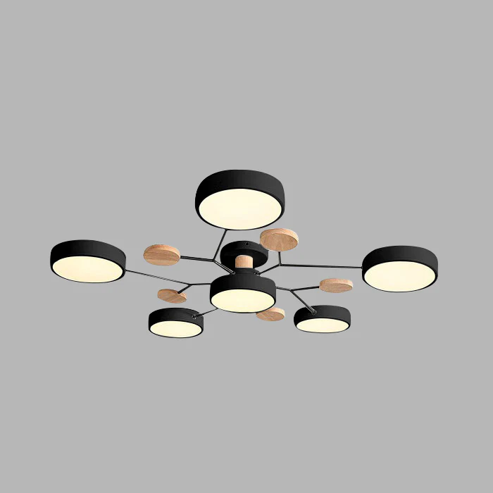 Ceiling Light | Dimmable & Color-Changing | Multi-Point 4-7 Lights | Modern Living Room