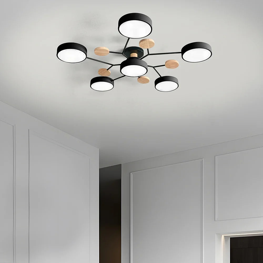 Ceiling Light | Dimmable & Color-Changing | Multi-Point 4-7 Lights | Modern Living Room