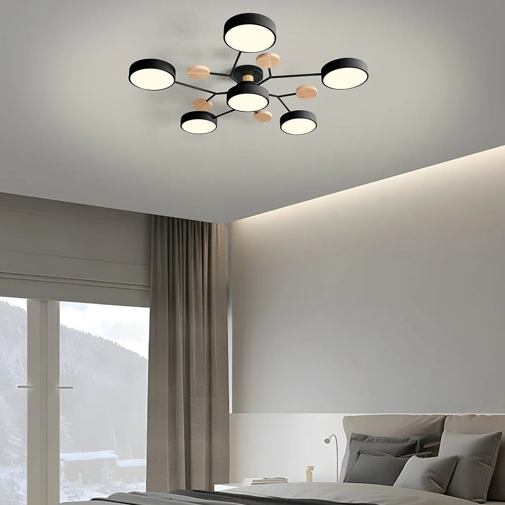 Ceiling Light | Dimmable & Color-Changing | Multi-Point 4-7 Lights | Modern Living Room