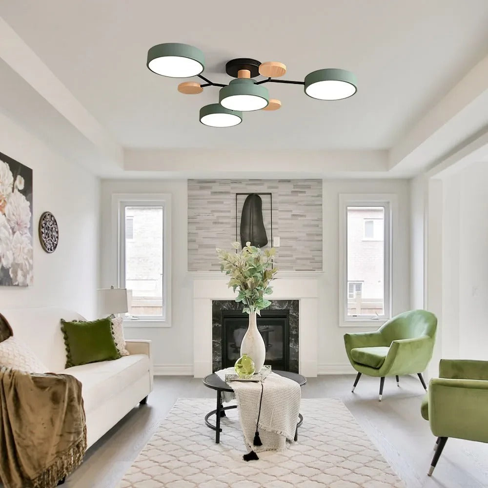 Ceiling Light | Dimmable & Color-Changing | Multi-Point 4-7 Lights | Modern Living Room