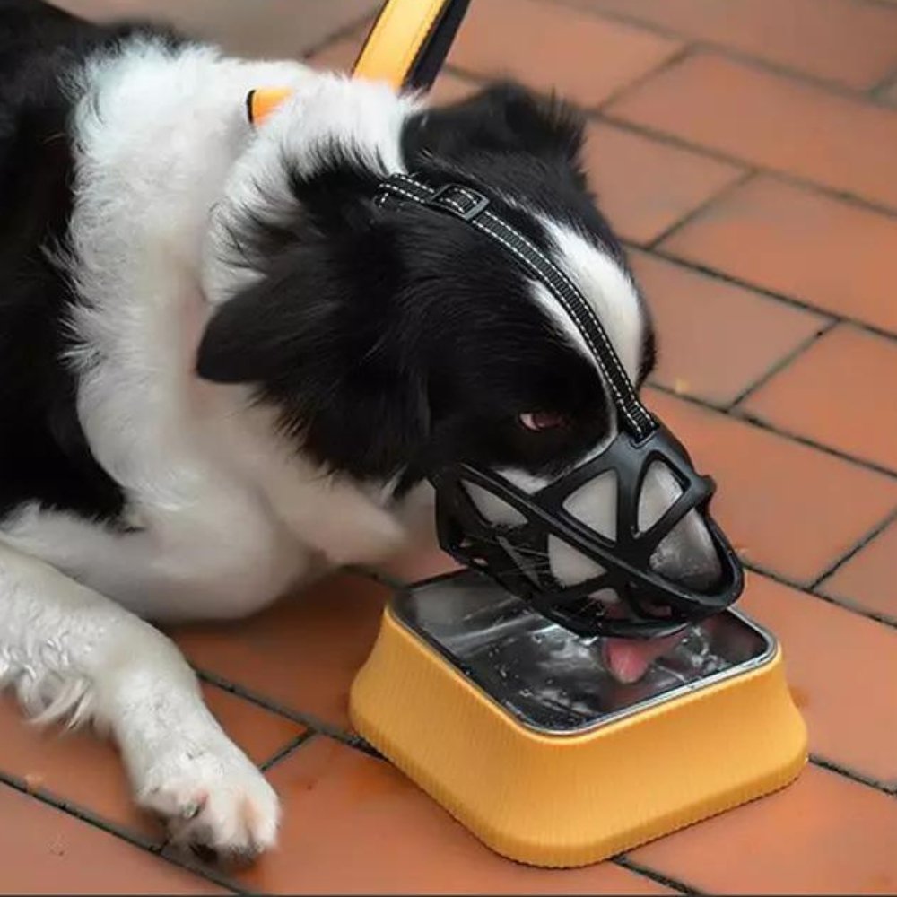 Dog Muzzle | Anti-Bite & Anti-Bark Design | Breathable Soft Fabric | Comfortable Fit
