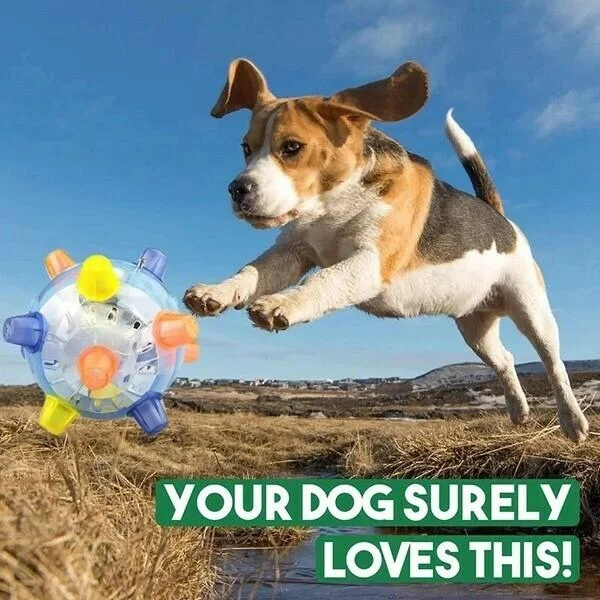 Dog Toy | Interactive Jumping LED Ball | Food-Grade Rubber & Sound | Mental Stimulation