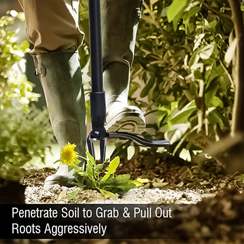 Garden Weeder | Detachable Extendable Handle | Stainless Steel | Ergonomic Design