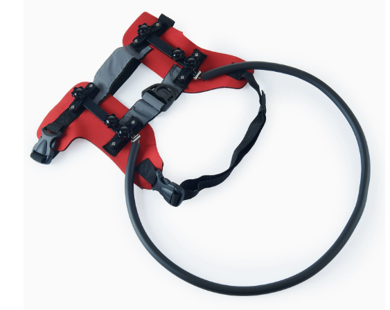 Halo Collar for Blind Dogs | Guiding Ring | Adjustable & Harness Compatible | Calmer Walks