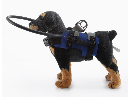 Halo Collar for Blind Dogs | Guiding Ring | Adjustable & Harness Compatible | Calmer Walks
