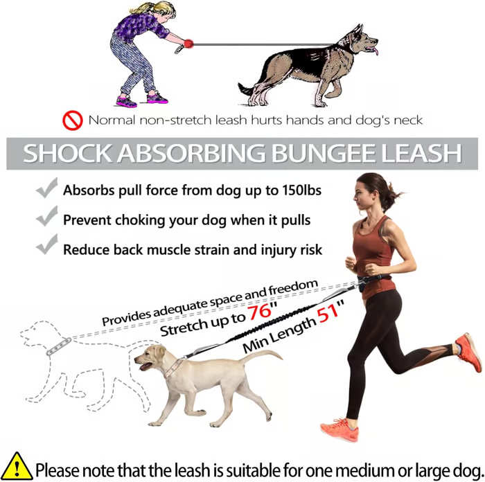 Hands-Free Dog Leash | Shock-Absorbing Bungee | Adjustable Hip Belt with Pockets | Comfortable Fit