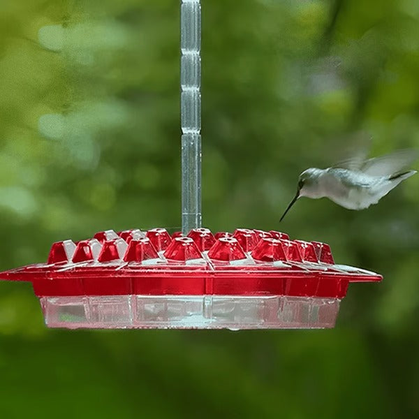 Hummingbird Feeder | 30-Port with Built-In Ant Moat | Transparent Reservoir | Garden & Patio