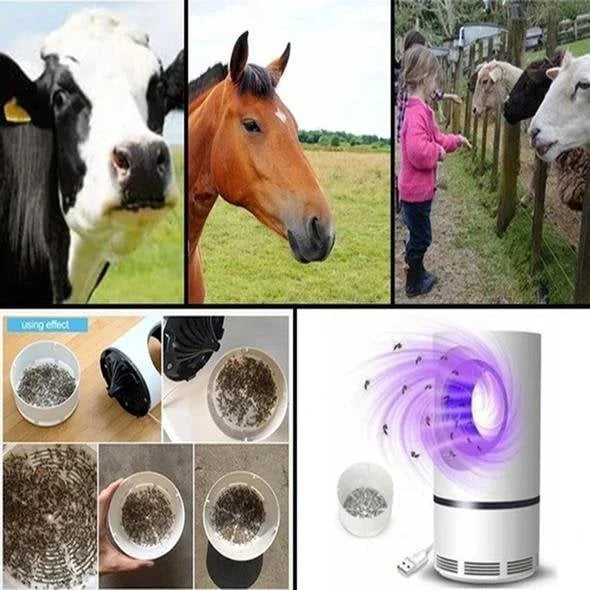 Indoor Insect Trap | Violet LED & Suction Fan | Escape-Proof Design | Chemical-Free