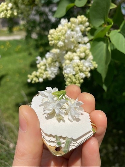 Mini Flower Press | Handcrafted Silver & Brass | 10 Reusable Blotter Sheets | Travel Size