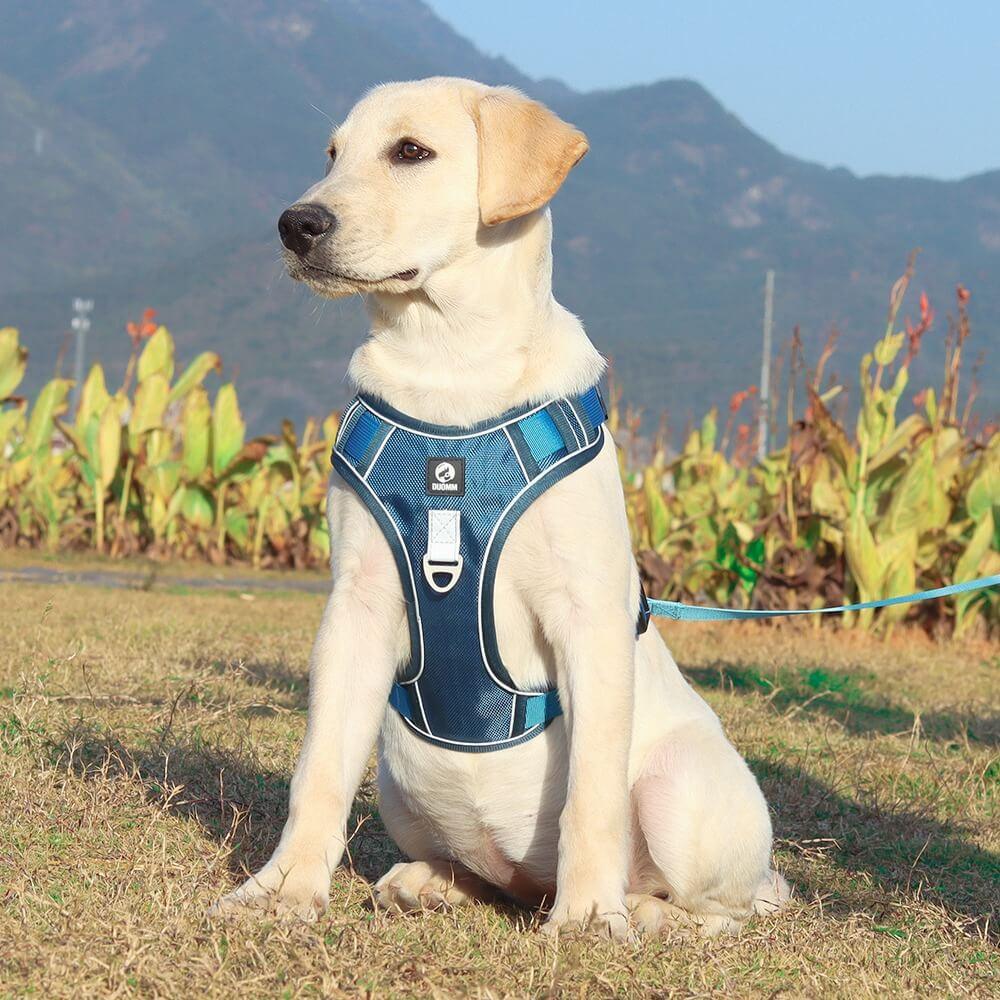 No-Pull Dog Harness | Front-Clip Control | Breathable Padded Chest | Night Visibility