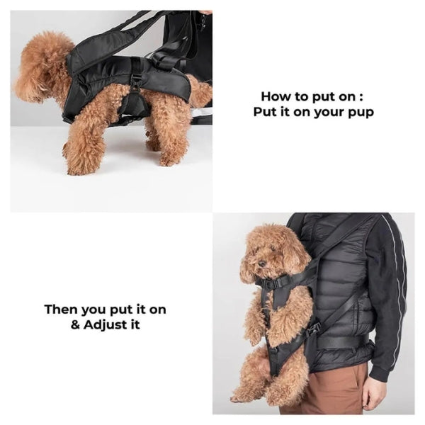 Pet Carrier for Dogs & Cats | Waterproof & Breathable | Adjustable Straps & Ergonomic Design