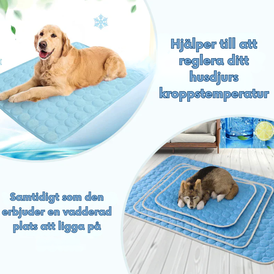 Pet Cooling Mat | Self-Cooling Fiber Top | Breathable Mesh & Cotton Fill | Machine Washable