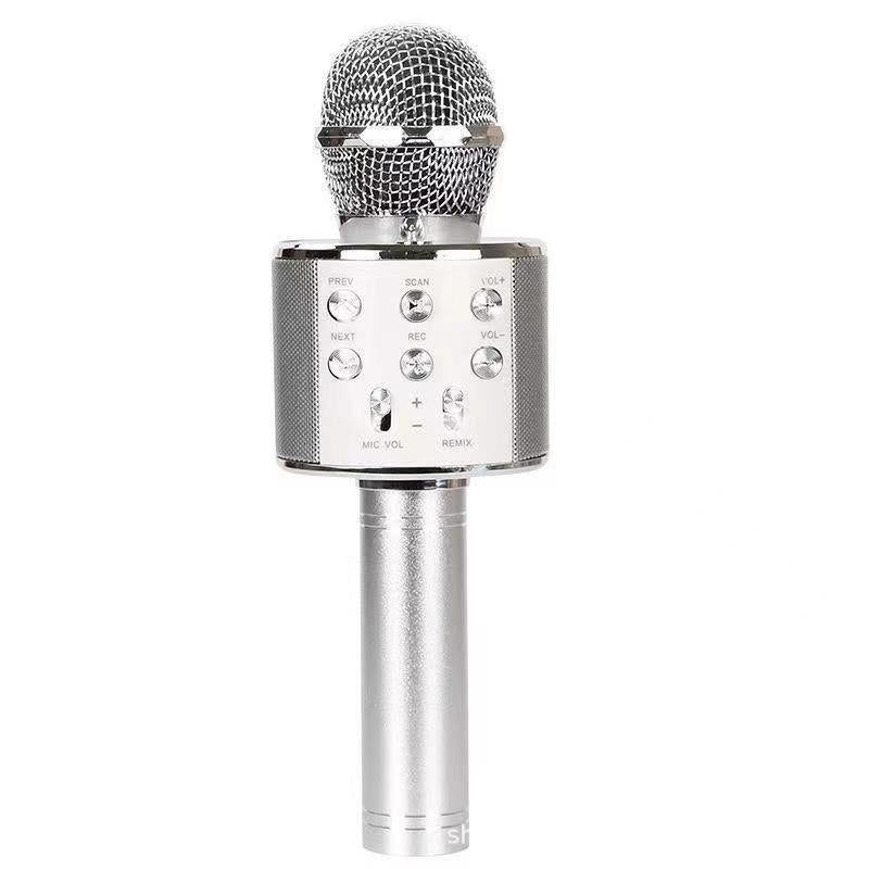 Portable Wireless Karaoke Microphone | Stereo Speakers & Reverb | Bluetooth, AUX & USB Playback