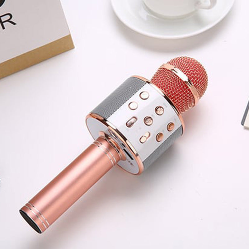 Portable Wireless Karaoke Microphone | Stereo Speakers & Reverb | Bluetooth, AUX & USB Playback