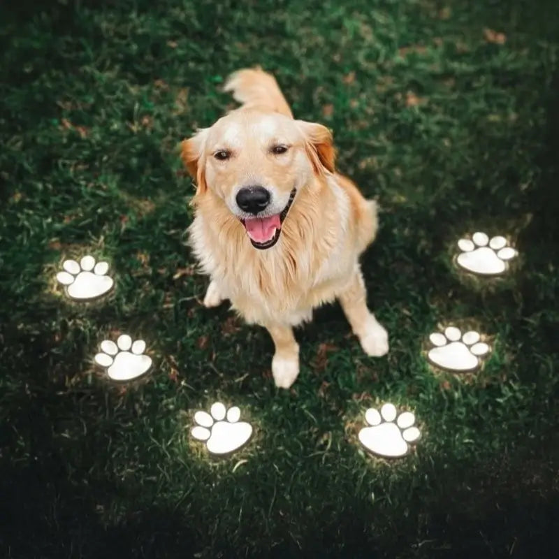 Solar Pathway Light | Paw-Print Pattern | Auto Dusk Sensor & Weather-Resistant