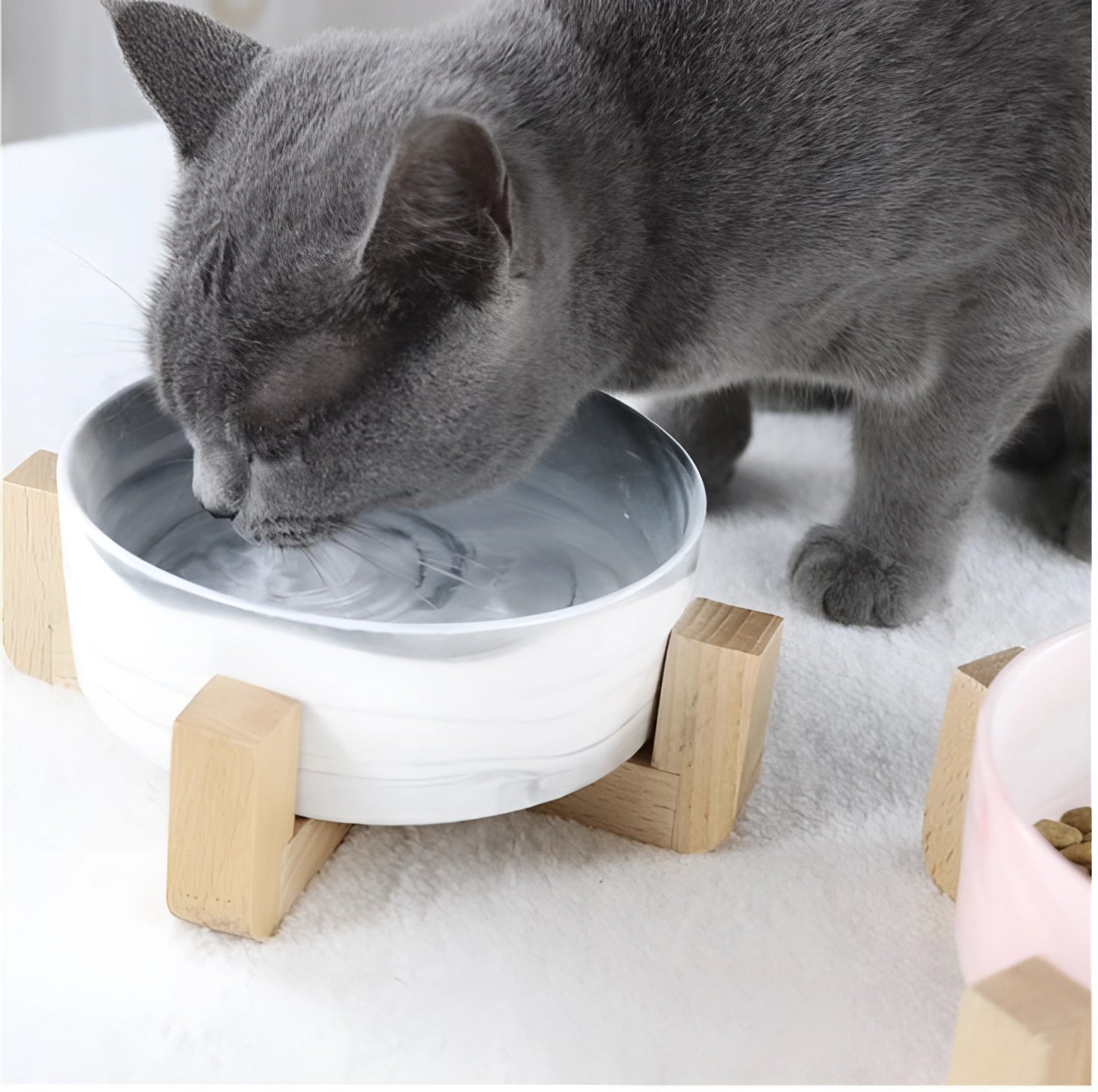 A grey Russian Blue cat with prominent whiskers is using an adjustable multi-level bamboo pet feeder, featuring colorful dishes placed near a window.