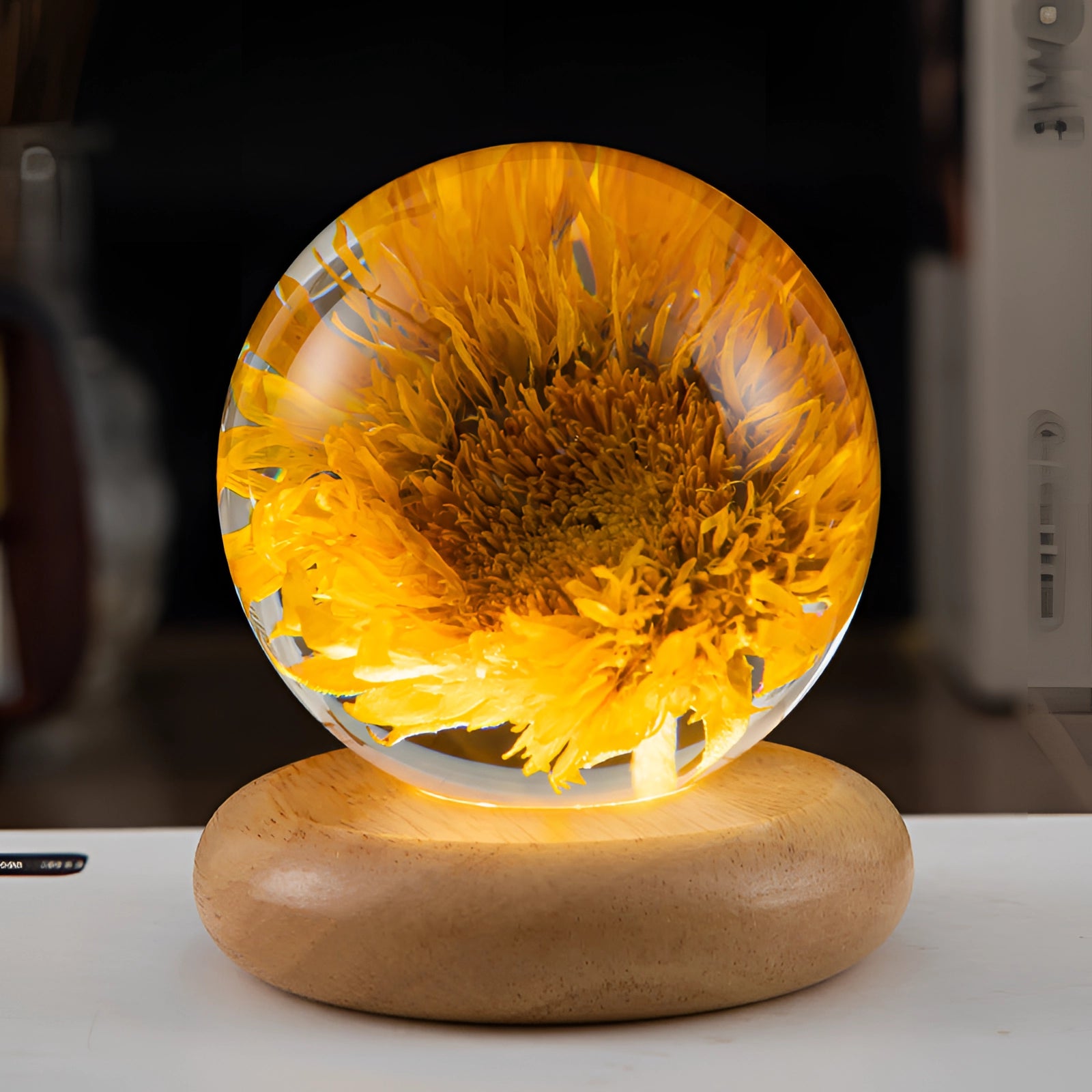 Dandelion Resin Lamp with LED Wooden Base featuring a round sunflower design, showcasing a unique botanical art piece with intricate details resembling petals and a seed-like structure, illuminated as a night light.