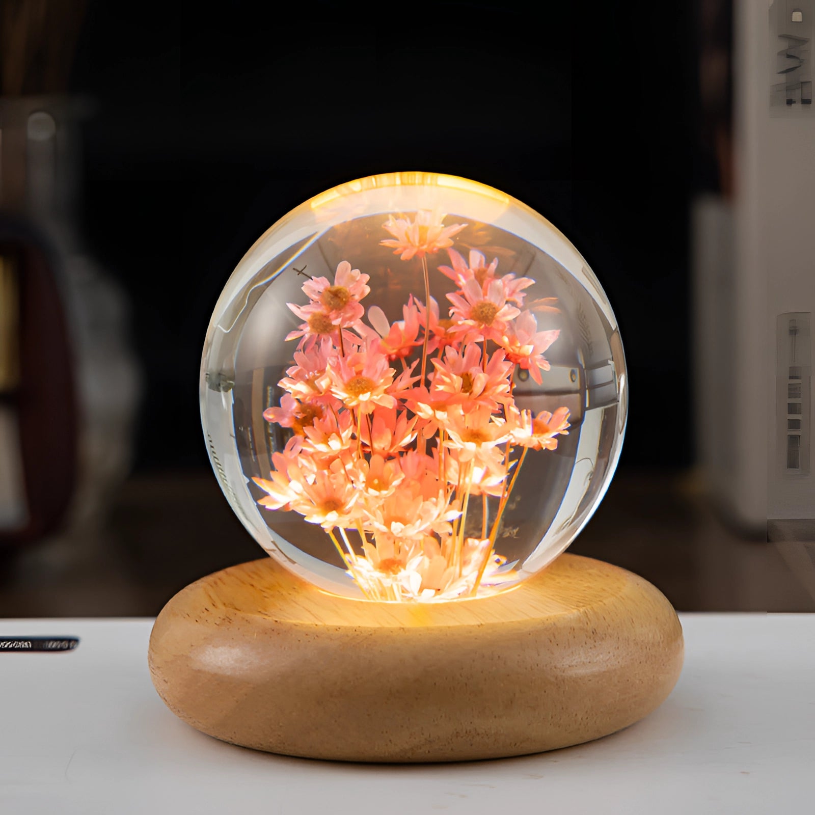 Dandelion resin lamp featuring a red daisy embedded in a clear round resin sphere, placed on an LED wooden base.