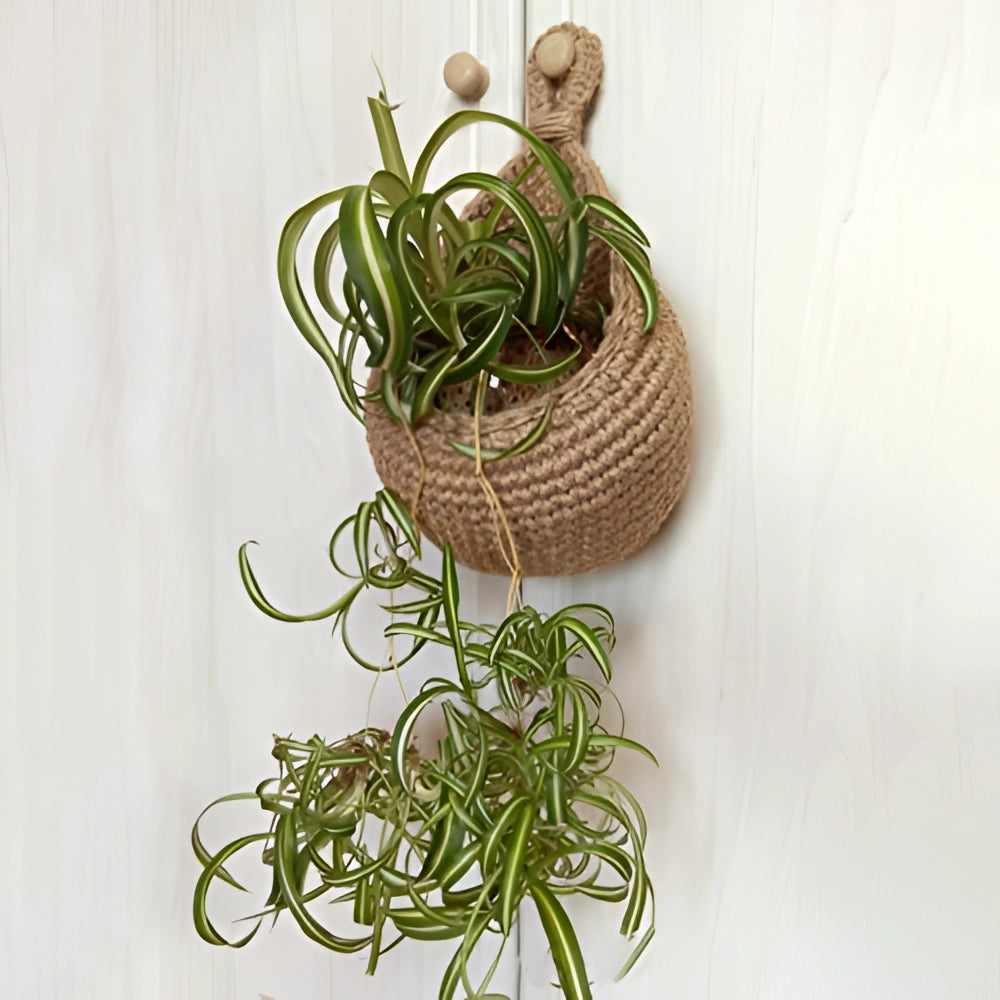Eco-friendly jute hanging baskets featuring a rustic and boho chic design, filled with vibrant green houseplants and leafy terrestrial plants, displayed with natural twig accents and floral elements.