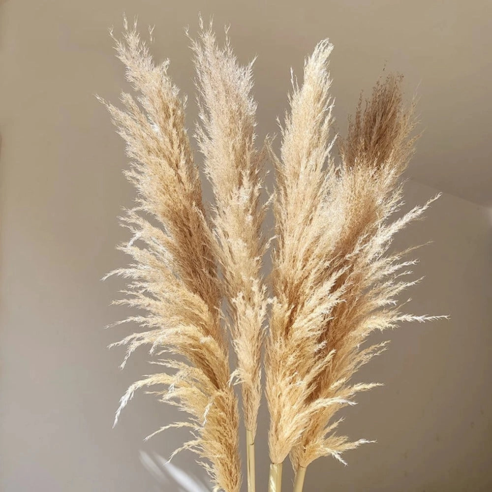 A large bouquet of dried pampas grass, featuring fluffy, feathery plumes in a boho style, ideal for rustic home decor or as a centerpiece.