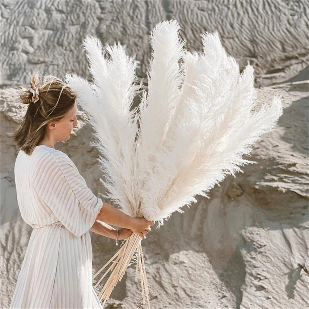 A large bouquet of dried pampas grass, fluffy and arranged as a boho decor piece, suitable for use as a rustic centerpiece. The pampas grass features natural, feathery textures and a neutral color palette, evoking a sense of elegance and nature-inspired style.