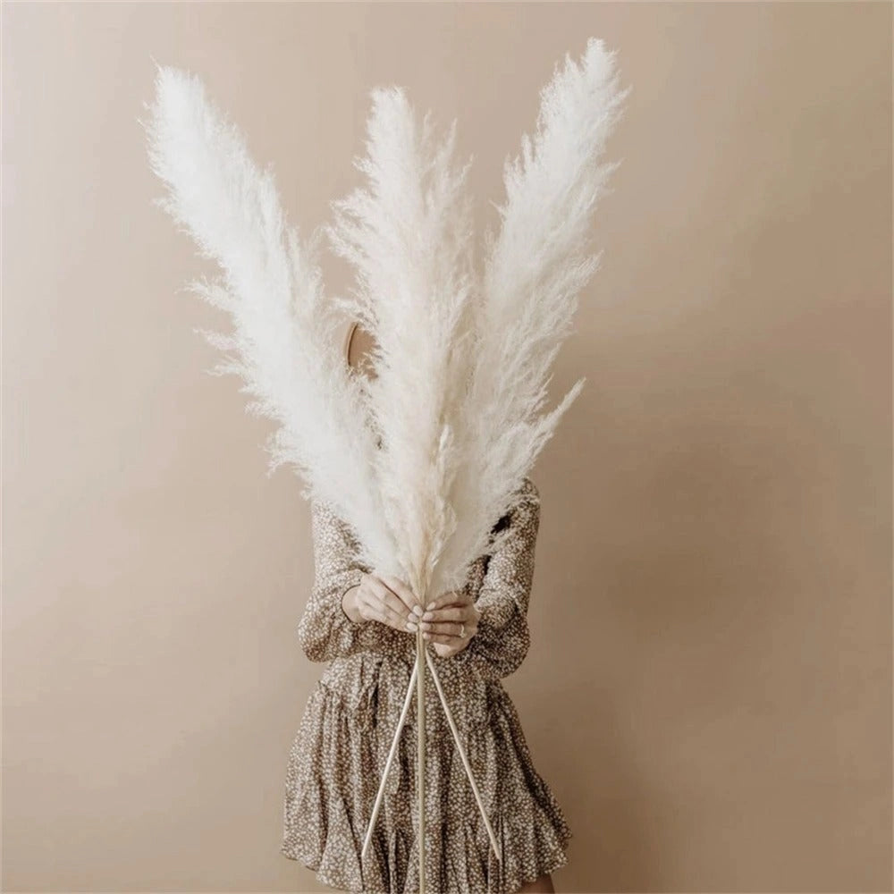 Large white dried pampas grass bouquet arranged in a fluffy, bohemian style, perfect for rustic decor or as a centerpiece.