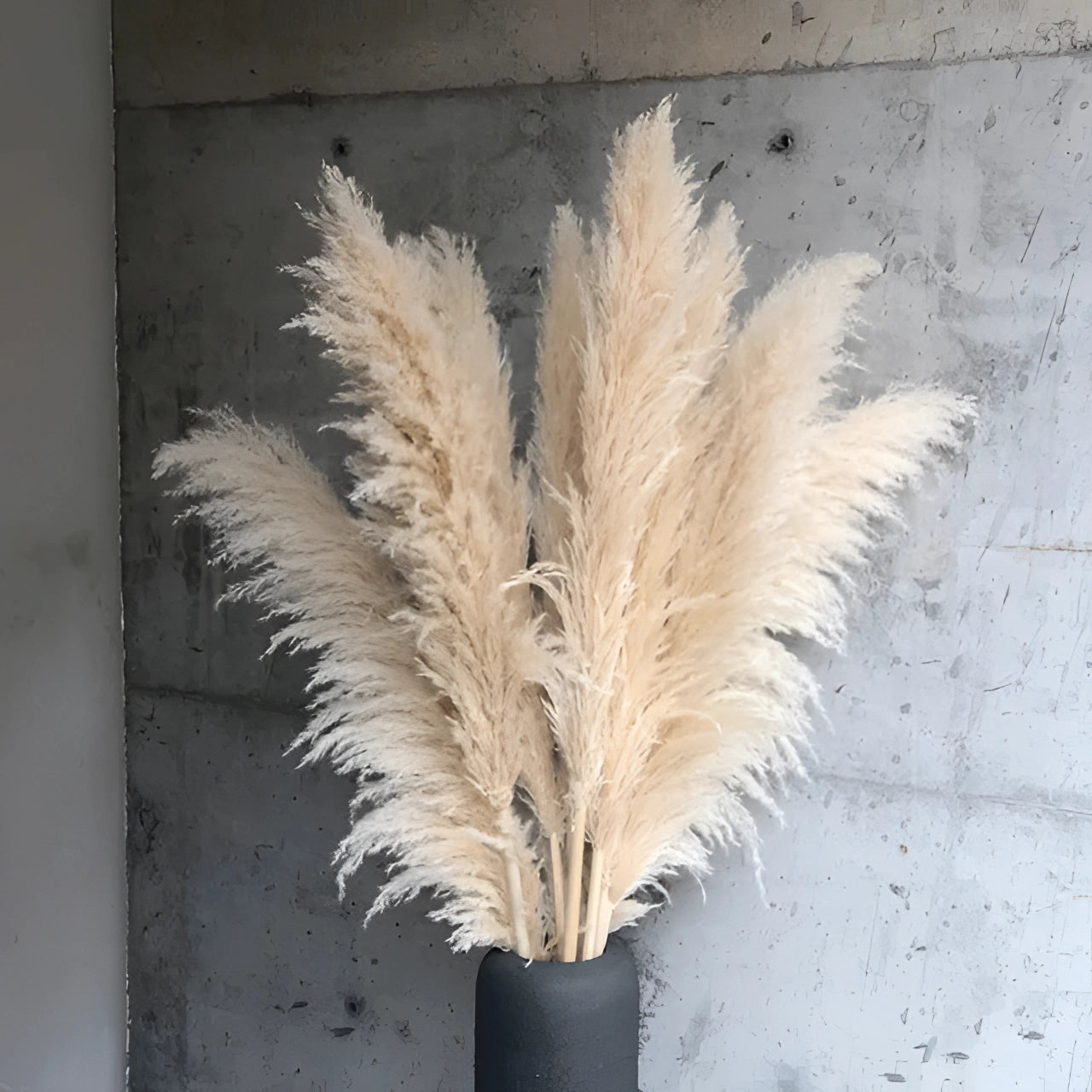 Large beige pampas grass bundle of 12 pieces, featuring delicate feathery plumes, ideal for boho chic and rustic home decor.