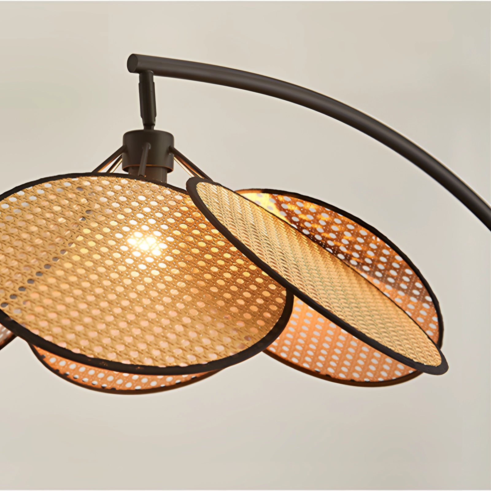 Modern adjustable arched floor lamp with a minimalist design, featuring a wooden base, oval-shaped lampshade, and subtle tints and shades, placed next to a decorative plant.