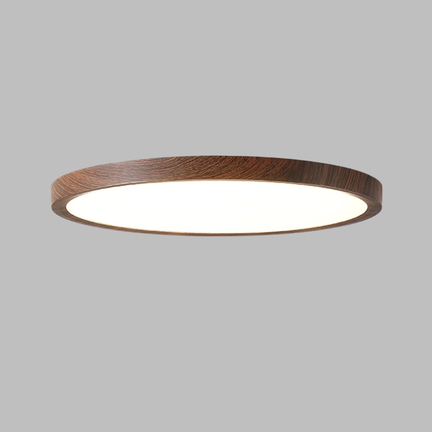 Taavita Ultrathin Round LED Ceiling Light