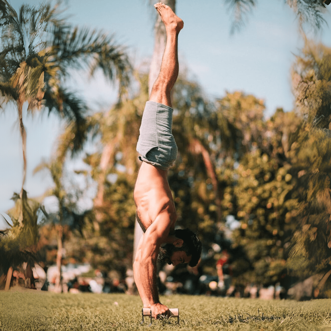 StrongHold Wooden Push-Up Parallettes with Steel Support
