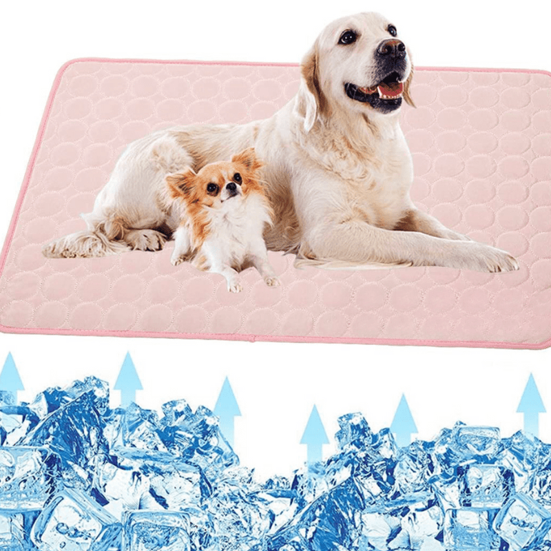 PawBreeze Refreshing Pet Mat for Ultimate Comfort